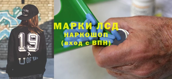 гидра Бородино