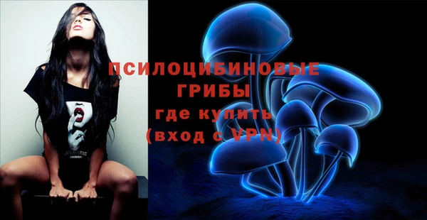 mdpv Бугульма