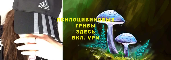 гидра Бородино