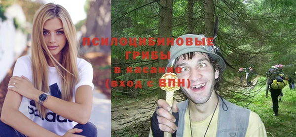 гидра Бородино