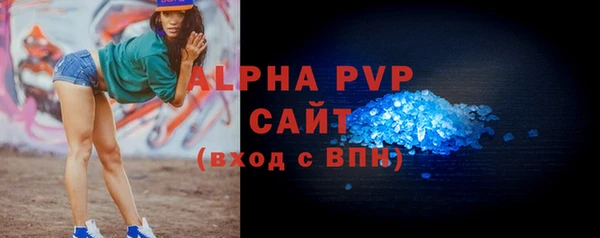 гидра Бородино