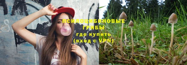 гидра Бородино