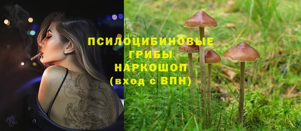 mdpv Бугульма