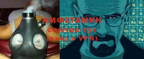 гидра Бородино