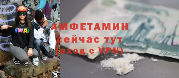 гидра Бородино