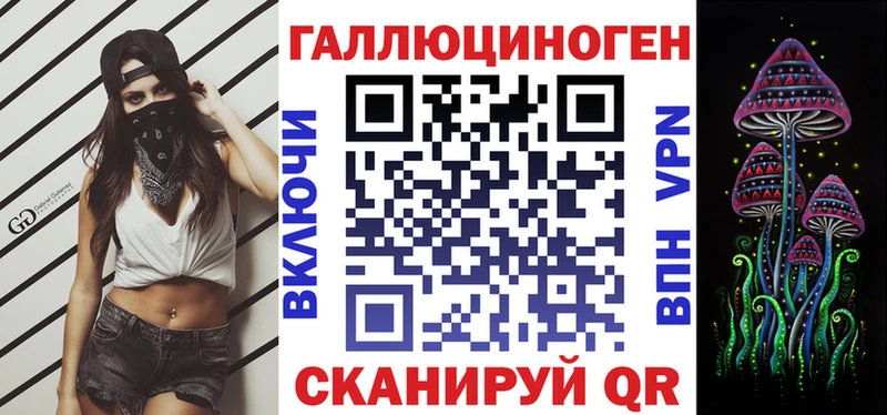 дарнет шоп  Верхотурье  Псилоцибиновые грибы мухоморы 